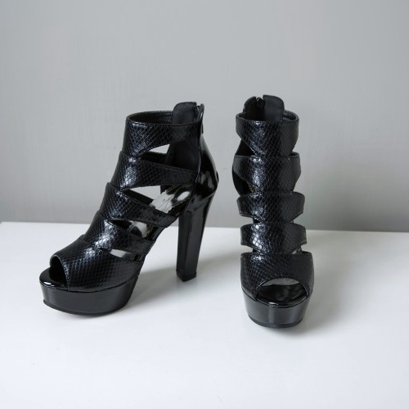 REAVE CAT Sexy Size 34-50 Wome - Women'S Shoes Veja 리뷰 및 가격